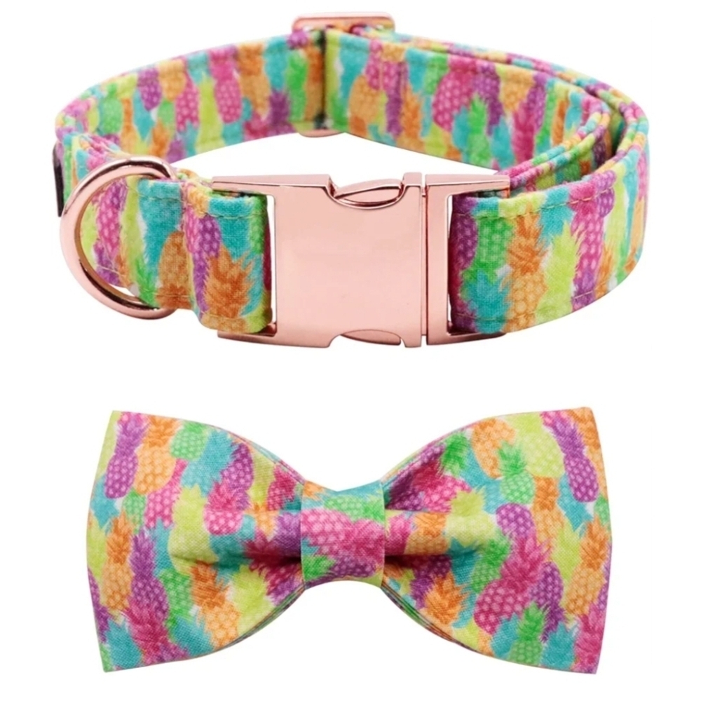 Lionet Paws Colorful Pineapple Dog Collar with Bowtie Size M
